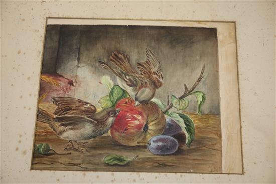 A folio of watercolours and drawings, and mixed oils and watercolours